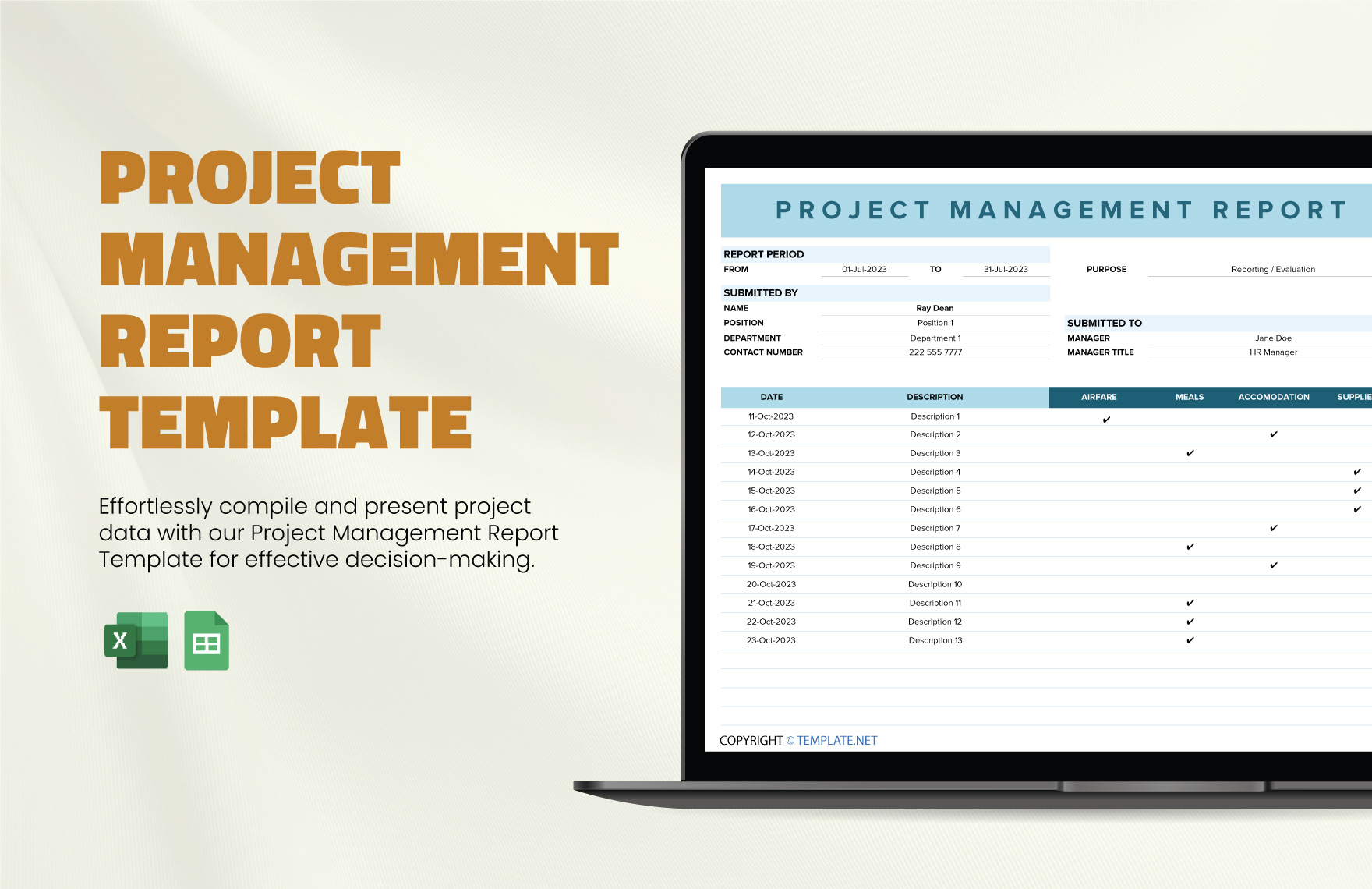 Project Management Report Template