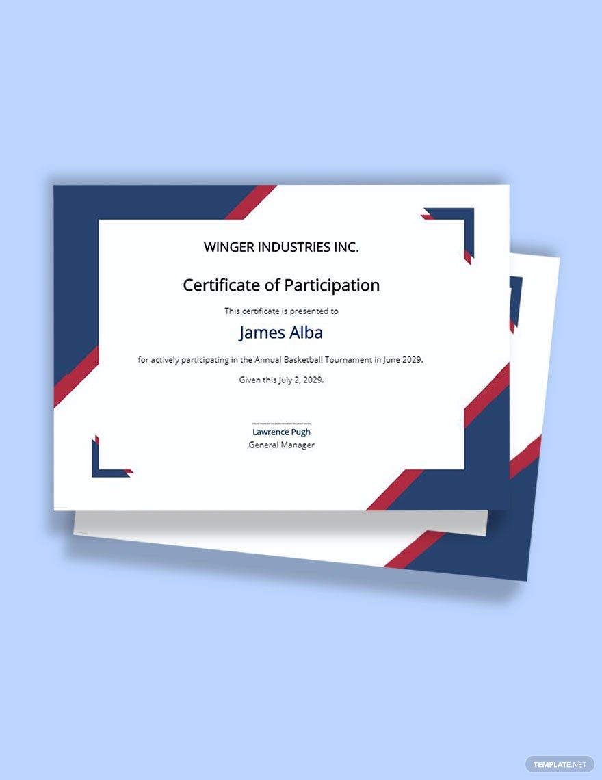 Basketball Participation Certificate Template in Illustrator, Pages, PSD, Word, Publisher, Google Docs - Download | Template.net