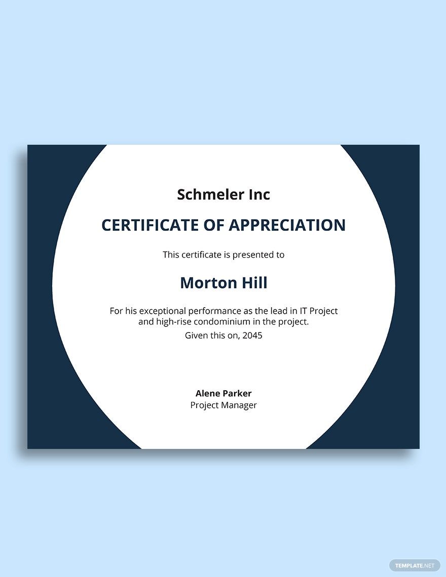 It Project Management Certification Template