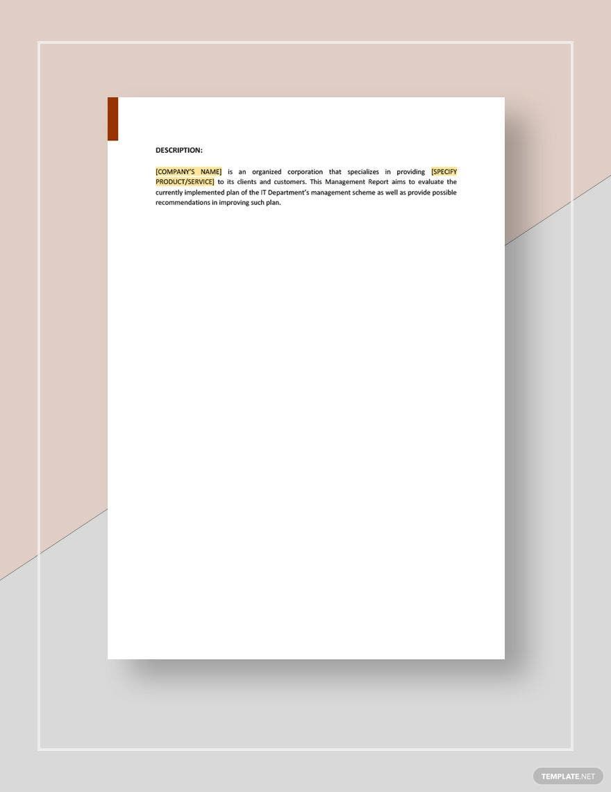 IT Management Report Template